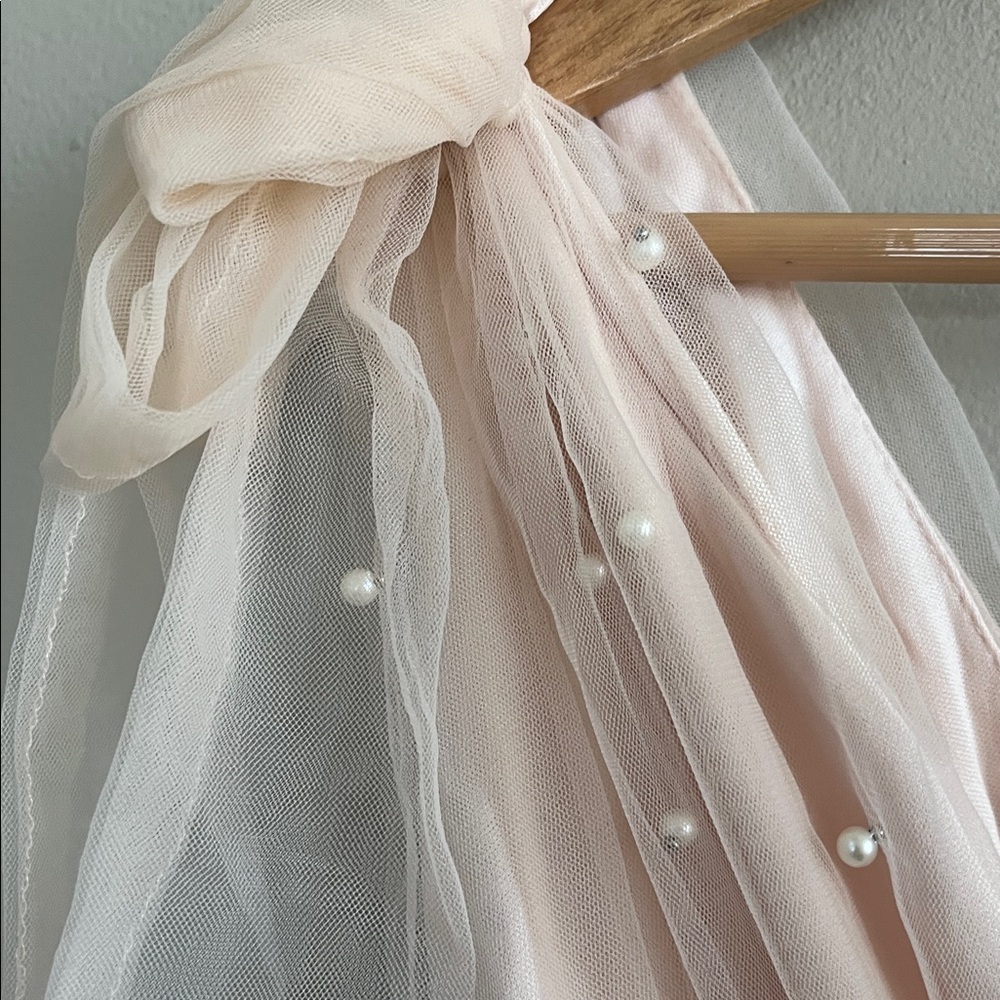 Mable Pearl Stud Swiss Dot Tulle Mini Dress in blush pink size large - Picture 6 of 16